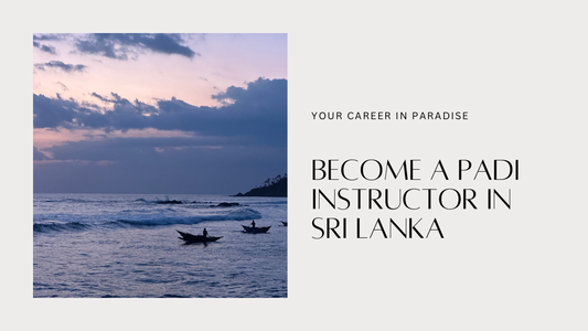 Your Career in Paradise: Become a PADI Instructor in Sri Lanka