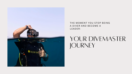 The Moment You Stop Being a Diver and Become a Leader: Your Divemaster Journey
